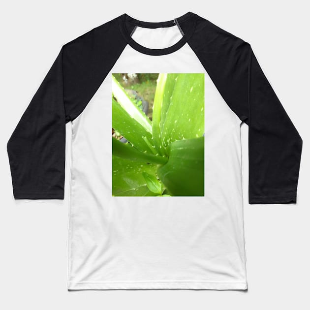 Aloe vera Baseball T-Shirt by sokileri999